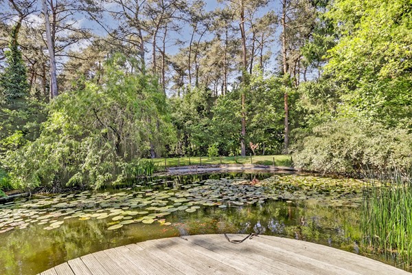 Medium property photo - Postelscheheideweg 2, 5575 XC Luyksgestel