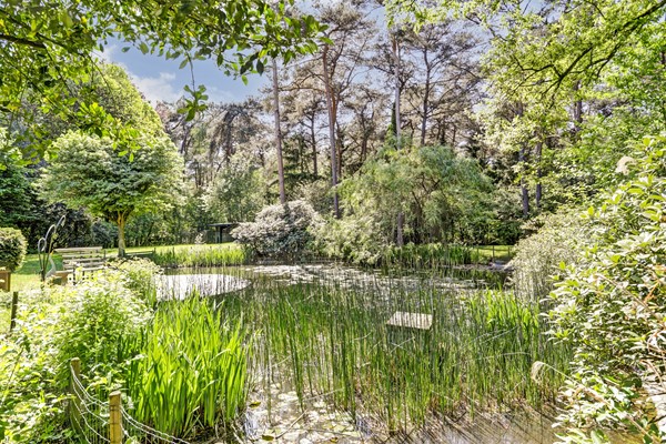 Medium property photo - Postelscheheideweg 2, 5575 XC Luyksgestel