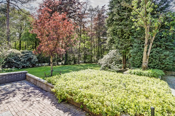 Medium property photo - Postelscheheideweg 2, 5575 XC Luyksgestel