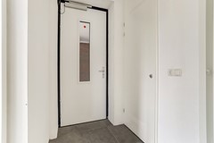 25_BLADEL_5531_KA_Vogelwikke_1_a.jpg
