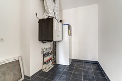 24_BLADEL_5531_KA_Vogelwikke_1_a.jpg