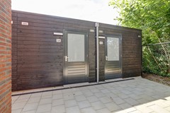 30_BLADEL_5531_KA_Vogelwikke_1_a.jpg