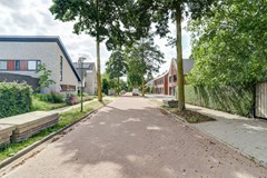 34_BLADEL_5531_KA_Vogelwikke_1_a.jpg