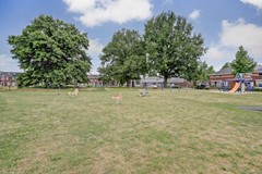 62_Bladel_5531_LN_Nachtegaal_25.jpg