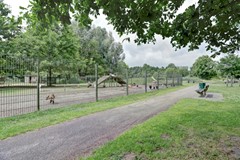 66_VALKENSWAARD_5552_PH_Zonnedauw_3.jpg