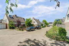 03_LUYKSGESTEL_5575_DK_Gentiaan_6.jpg