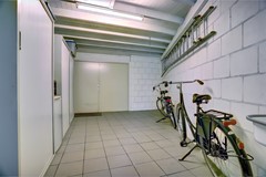 56_EERSEL_5521_MX_Boekweit_53.jpg