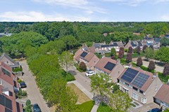 80_EERSEL_5521_MX_Boekweit_53.jpg