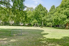 73_EERSEL_5521_MX_Boekweit_53.jpg
