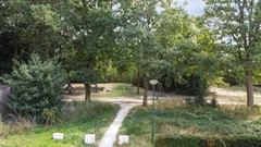 55_EERSEL_5521_KE_Kerkevelden_25.jpg