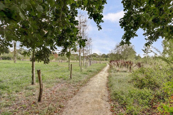 Medium property photo - Domineeshof 10, 5512 BR Vessem