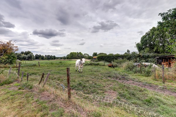 Medium property photo - Hoek 8, 5571 GK Bergeijk