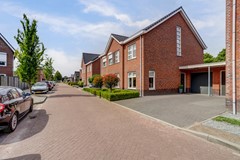 06_Bladel_5531_MP_Beukenbos_75.jpg