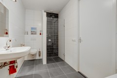 49_Bladel_5531_MP_Beukenbos_75.jpg