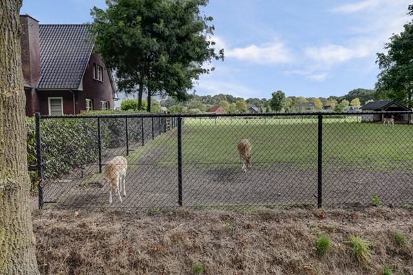 Medium property photo - Kerkweg 5A, 5096 BK Hulsel