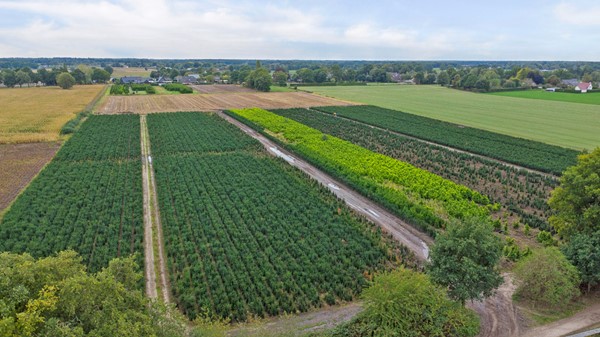 Medium property photo - Maalsteen 7, 5521 WM Eersel