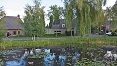 81_REUSEL_5541_HE_Schalluine_4.jpg