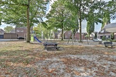 75_REUSEL_5541_HE_Schalluine_4.jpg