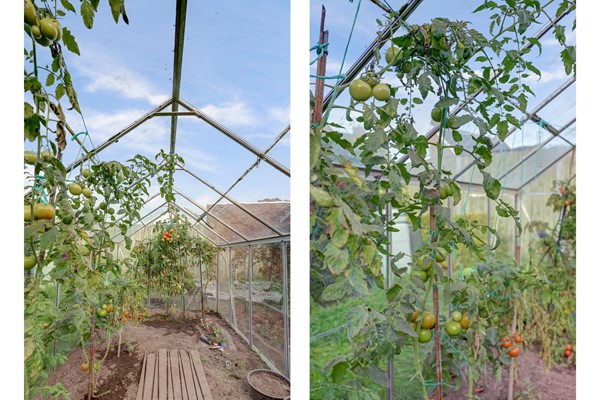 Medium property photo - Koolhof 8, 5096 CE Hulsel