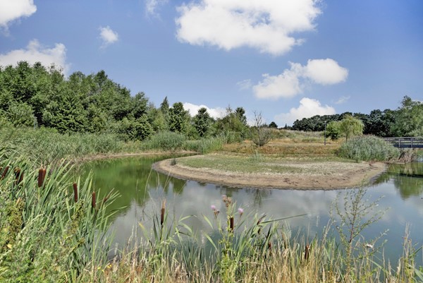 Medium property photo - Molenakker 29, 5541 WD Reusel