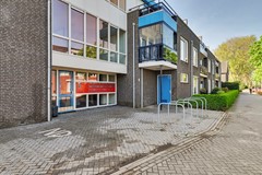 05_Eersel_5521_WB_Vuursteen_53.JPG