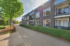 37_Eersel_5521_WB_Vuursteen_53.JPG