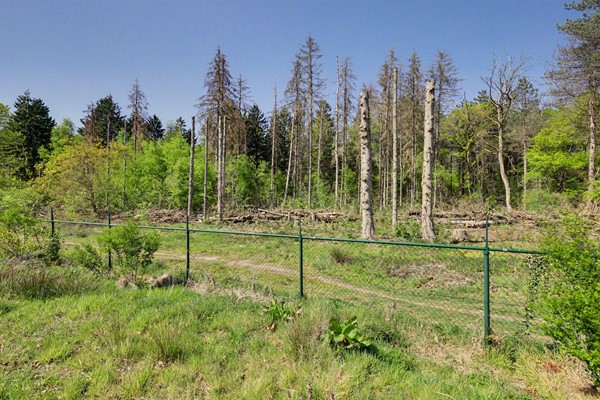 Medium property photo - Oirschotsedijk 9080, 5513 NR Wintelre