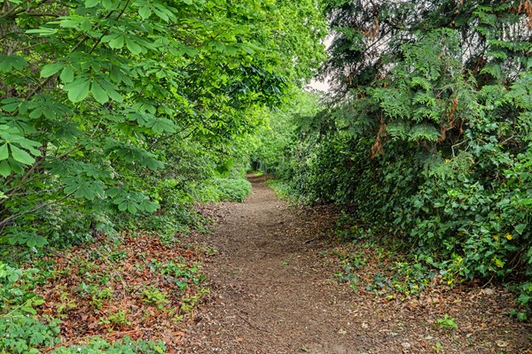 Medium property photo - Landjuweel 3, 5571 ML Bergeijk