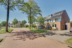 03_BLADEL_5531_KB_Vogelwikke_16_A.JPG
