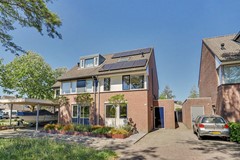 01_BLADEL_5531_KB_Vogelwikke_16_A.JPG