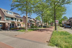 04_BLADEL_5531_KB_Vogelwikke_16_A.JPG