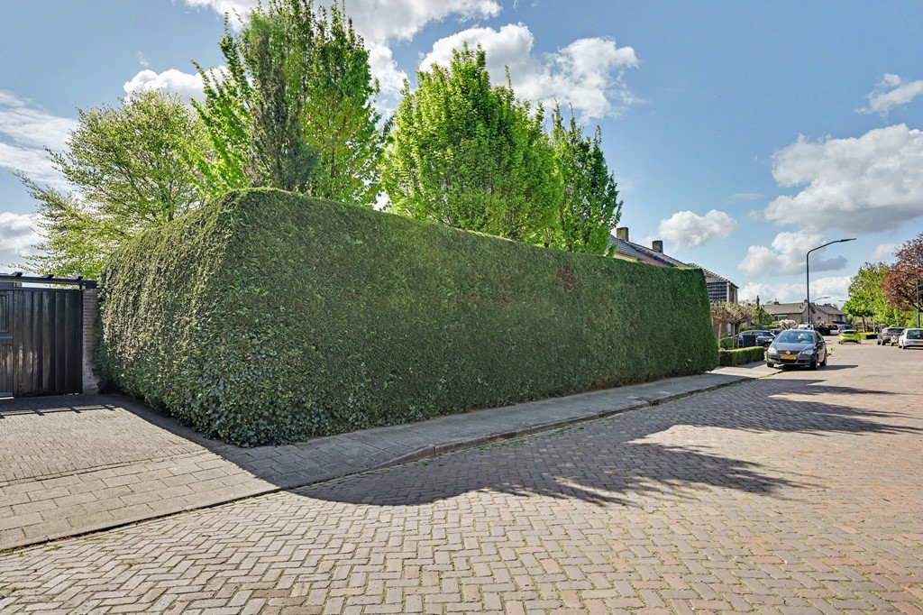 32_HAPERT_5527_GA_Molenstraat_1.JPG