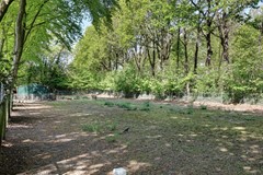 59_VALKENSWAARD_5554_SW_Le_Sage_Ten_Broekstraat_25.JPG