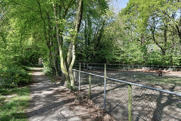 Medium property photo - Le Sage ten Broekstraat 25, 5554 SW Valkenswaard