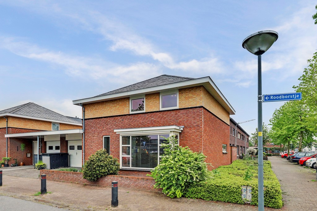 06_Reusel_5531LM_Roodborstje_1.jpg