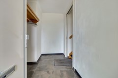 36_Reusel_5531LM_Roodborstje_1.jpg