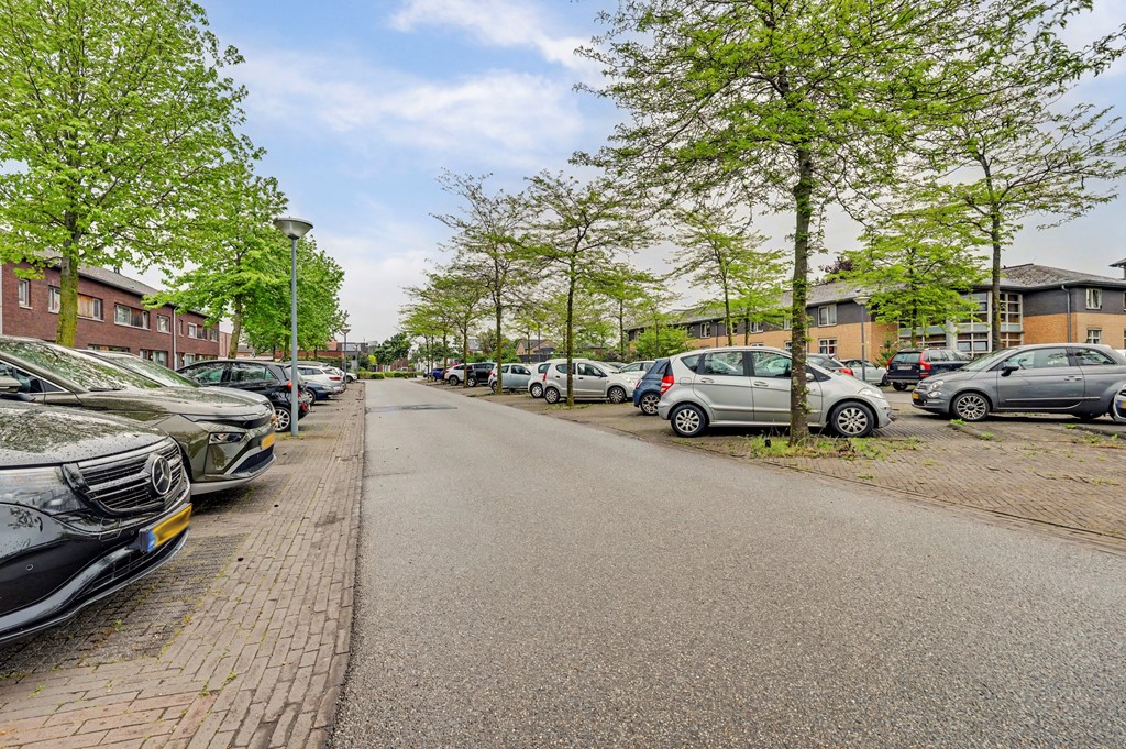 01_Reusel_5531LM_Roodborstje_1.jpg
