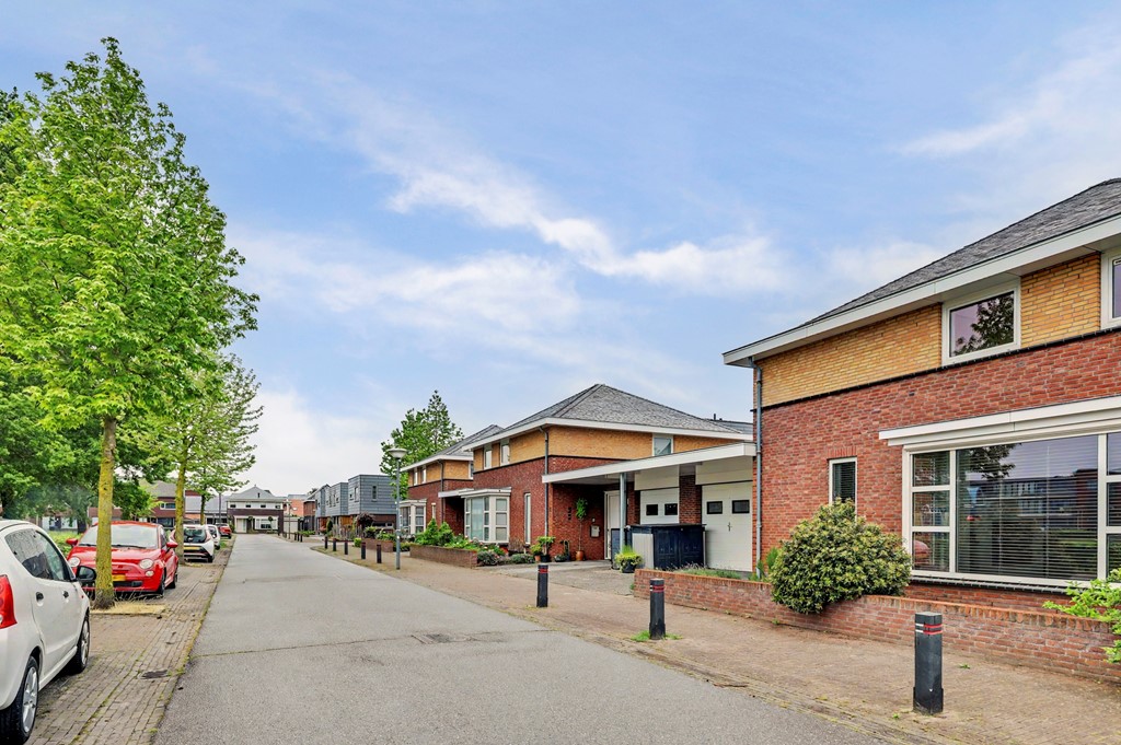02_Reusel_5531LM_Roodborstje_1.jpg