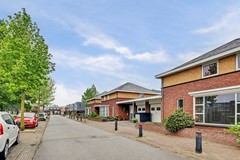 02_Reusel_5531LM_Roodborstje_1.jpg