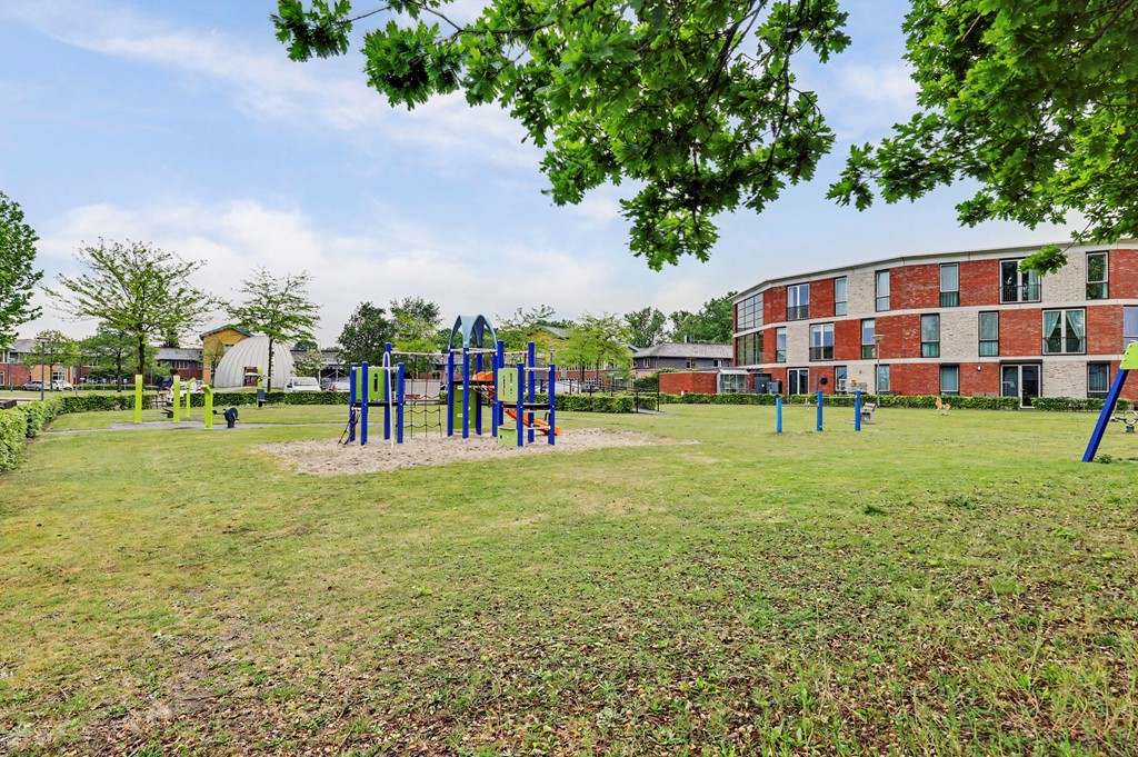 61_Reusel_5531LM_Roodborstje_1.jpg