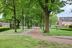 01_VELDHOVEN_5508_DG_Stropersberg_5.JPG