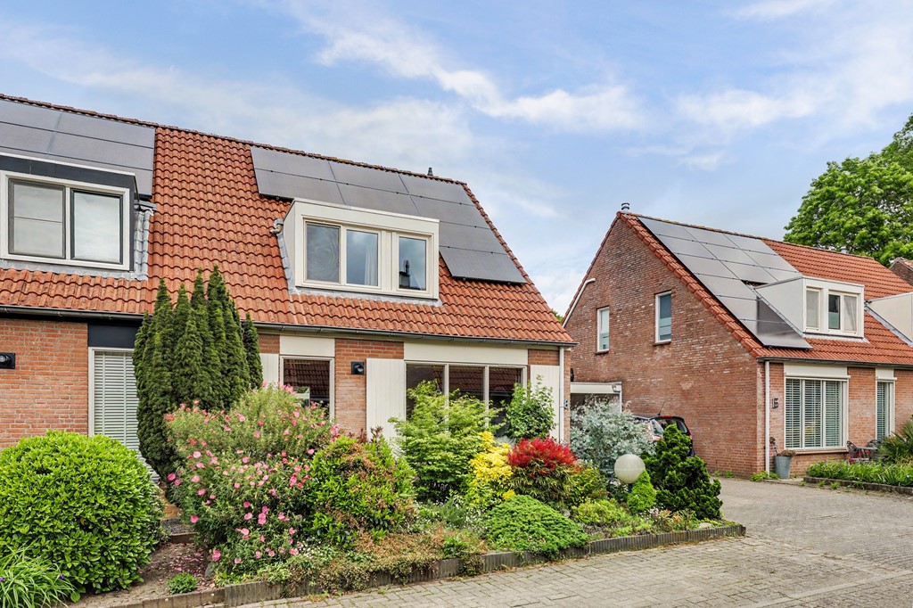 01_HAPERT_5527_BJ_Mosveld_8.JPG