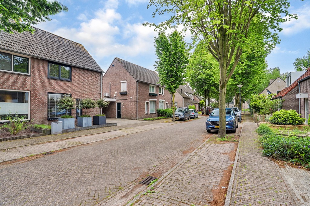 02_REUSEL_5541_HL_Deneburg_12.JPG
