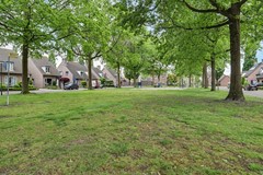01_REUSEL_5541_HL_Deneburg_12.JPG