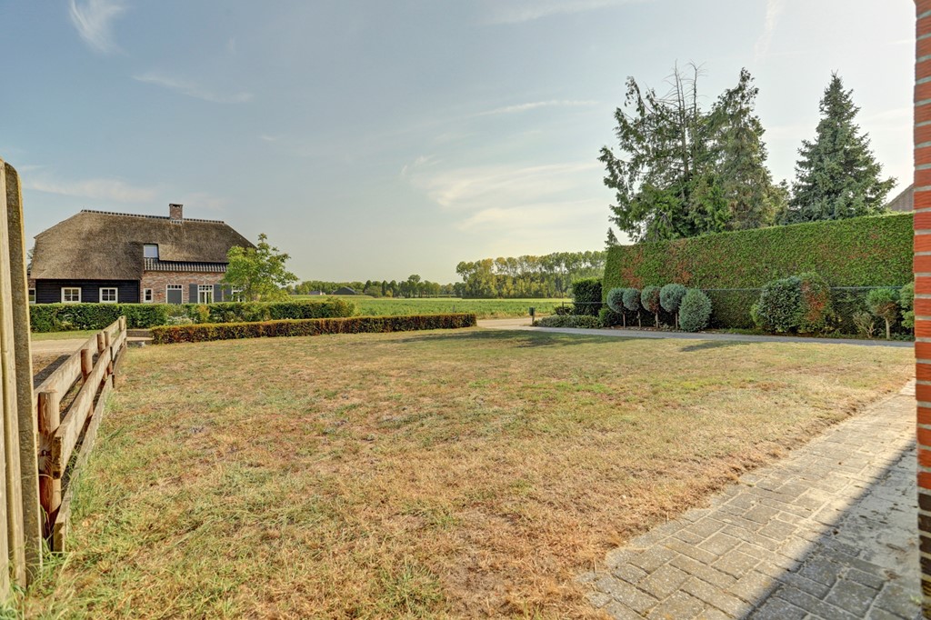 10_REUSEL_5541_PJ_Kattenbos_8.jpg