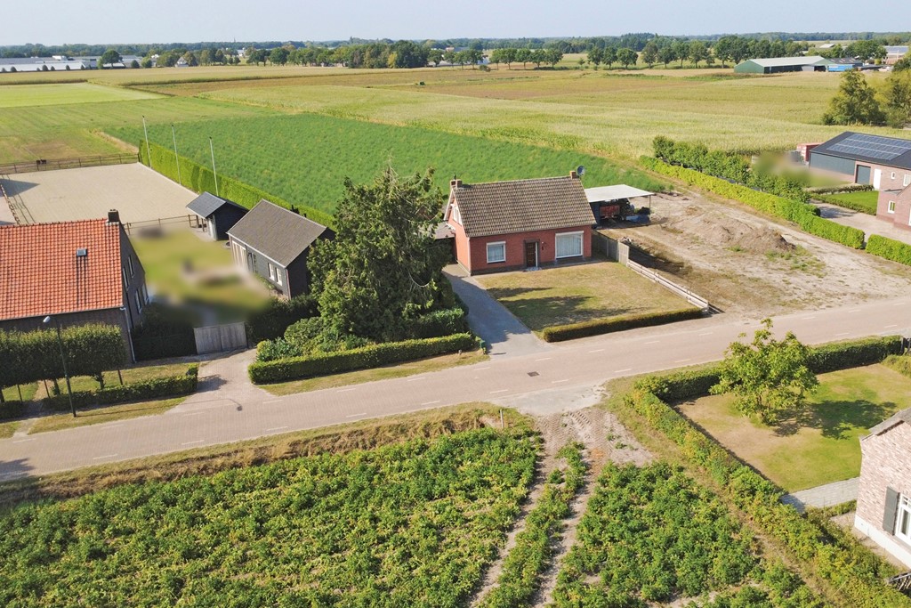 22_REUSEL_5541_PJ_Kattenbos_8.jpg