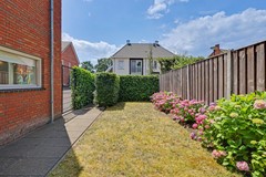 40_HAPERT_5527_EV_Roodbont_55.JPG