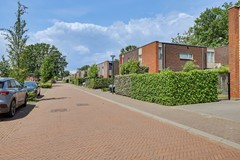 01_HAPERT_5527_EV_Roodbont_55.JPG