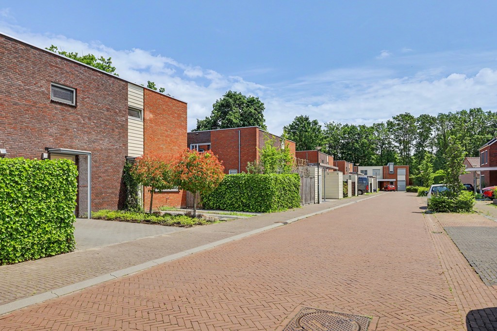02_HAPERT_5527_EV_Roodbont_55.JPG