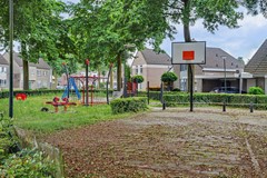 74_BLADEL_5531_KC_Helmkruid_2.JPG